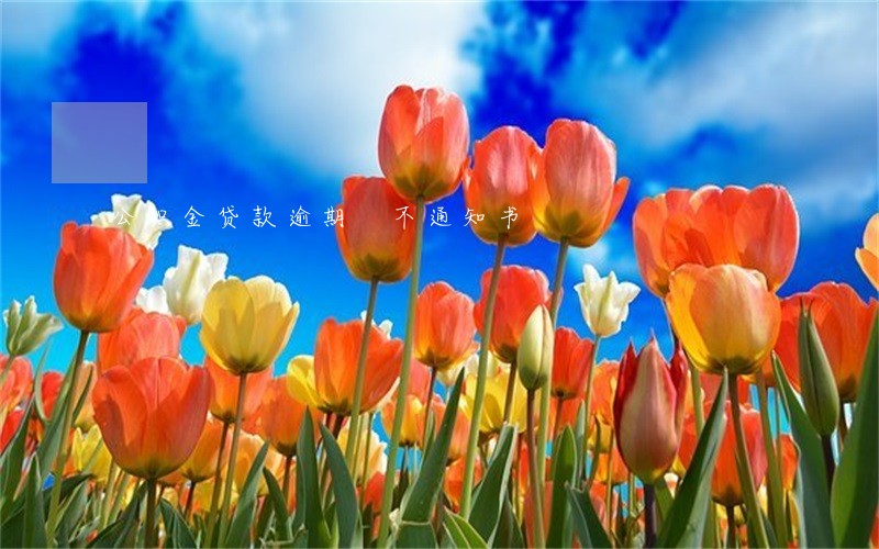 公积金贷款逾期 不通知书 公积金贷款逾期 不通知书